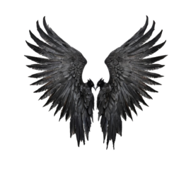 Black demon wings isolated on white transparent background