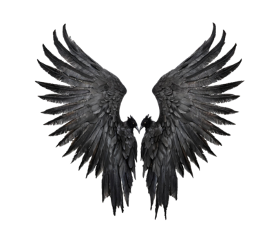 Black demon wings isolated on white transparent background