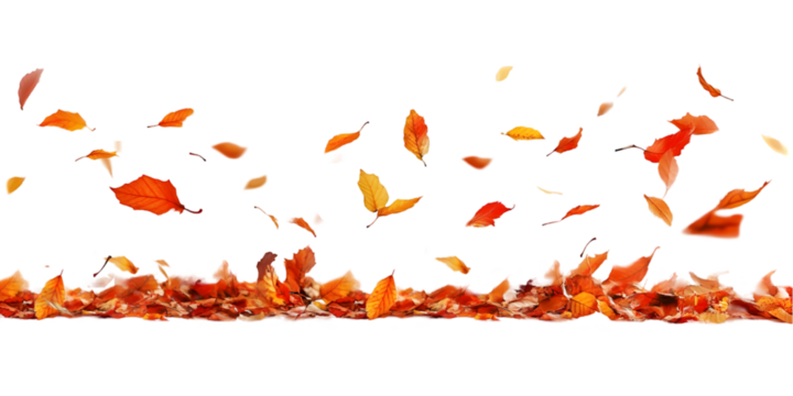 Autumn leaves swirl. Isolated on white background - Powered by Adobe