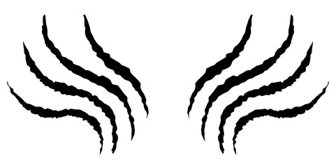 Cat tiger scratches paw shape. Black claws animal scratch, Torn paper. Wild Animal Claw Scratch Marks. Scratches of cat, tiger, lion, dog, jaguar, bear. Four nails trace.