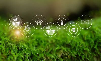 Sustainable environment concept. World Environment Day, climate action, the importance of...