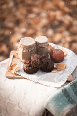 Cosy autumn decor with a sweets, plaid amoung leaves - a comfortable outdoor setting that celebrates thanksgiving and the season in warm colours. Idyllic ceremony of fall turned into artwork.