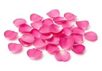Fototapeta premium Scattered pile of vibrant pink rose petals isolated on a clean white background creating a soft effect