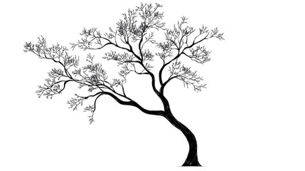 A tree with no leaves is depicted in black and white