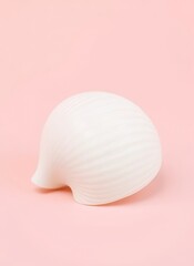Fototapeta premium Elegant White Shell on Pink Background
