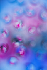 Soft focus and vintage lens. Aesthetic harmony blue background with real drops for advertisement and presentation, with copy space	