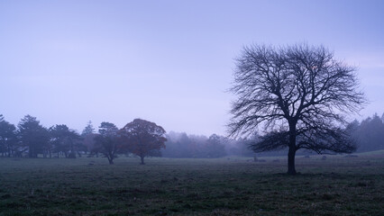 山梨県北杜市　秋の八ヶ岳牧場