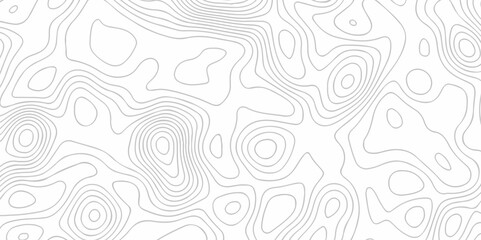 Abstract vector Modern topo map design White background with topographic world grid wave Topographic map geographic line texture.	
