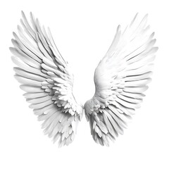 Fototapeta premium Detailed White Angel Wings on White Background