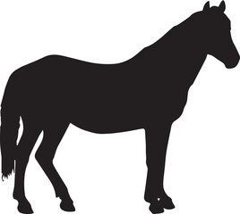 Horse Standing Vector Animal Illustration Silhouette