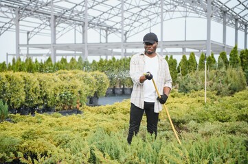 Young african american male gardener watering plants with a shower head and hose