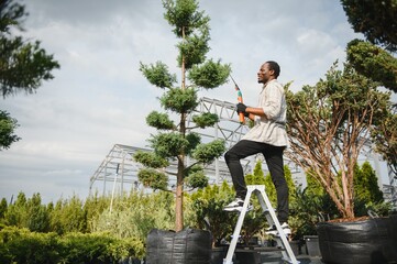 african american male garden worker works