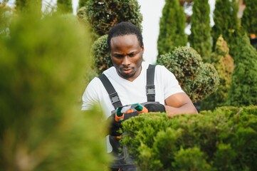 A young african american gardener cuts a tree with scissors. Gardening and tree shop concept