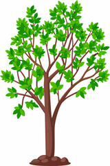 Obraz premium Flat design family tree silhouette