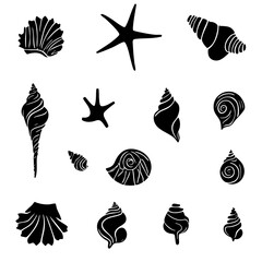 Vector silhouette collection of sea shells and pearl shell isolated on white background 