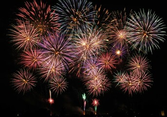Colorful fireworks lighting up the dark night sky
