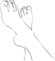 One continuous line art drawing flat illustration leg, foot, skin, female, woman, smooth, bare. Isolated image hand draw outline on white background