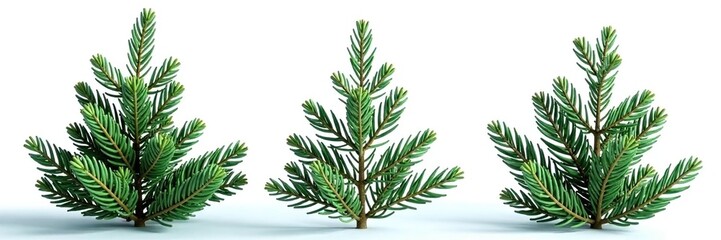 Naklejka premium Three fir branches isolated against bright white, fir trees, evergreen