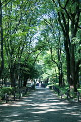 鶴舞公園