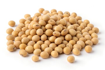 soy beans isolated on white background