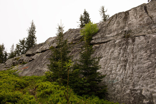 rock in the mountains