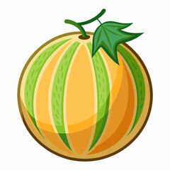 Ripe melon isolated on white background  