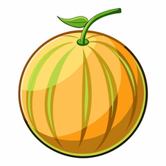 Ripe melon isolated on white background  