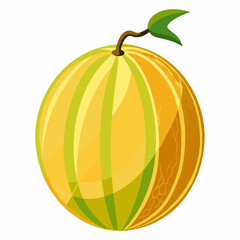 Ripe melon isolated on white background  