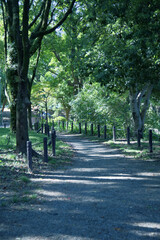 鶴舞公園