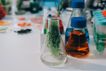 Team Asian scientists in a lab conducting food research using a microscope and lab equipment,...