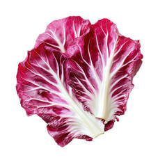 Obraz premium Fresh radicchio leaves with contrasting colors on transparent background
