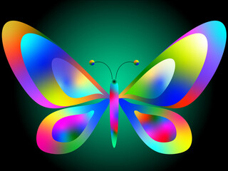 butterfly vector illustration colorful background