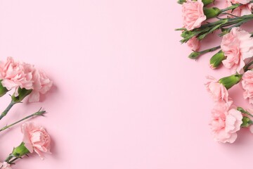 Beautiful bouquet of pink carnations on a colored background