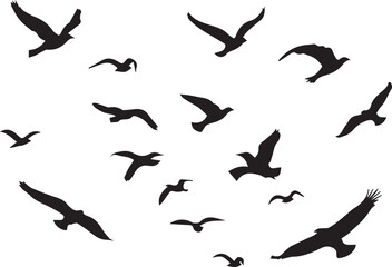 Obraz premium set of silhouettes of birds