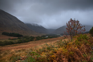 Golden heather blankets the Scottish Highlands, where misty peaks rise above deep glens and serene lochs. Autumn’s glow paints a landscape of wild, untamed beauty.
