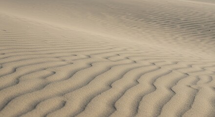 Fototapeta premium Light Beige Desert Sand Dunes Under Soft Sunlight
