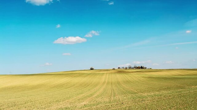 Timelapse showing moving clouds in blue sky over a vast green arable field