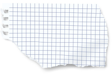 Paper scraps on sticky tape page pieces with torn edges