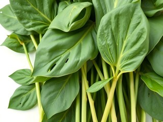 Fresh Green Leaves with Veins Close-Up