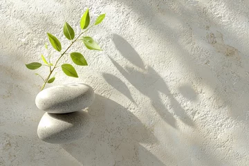Zen garden arrangement with gray stones and bamboo in white sand