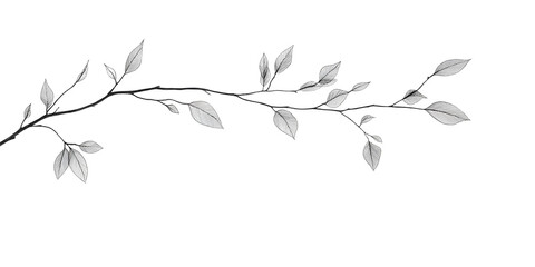 A simple white line drawing of a tree branch with a few leaves gently hanging. The clean lines and minimalist design create a peaceful and natural scene.