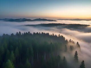 Serene sunrise mist enveloping a vast pine forest, creating a breathtaking, ethereal landscape in soft, warm light.