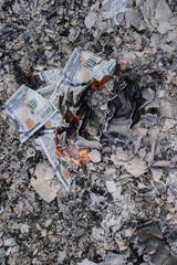 Burning US Dollar Bills on Ashes Representing Financial Loss and Waste