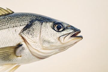 Naklejka premium A close up view of a silvery fish head
