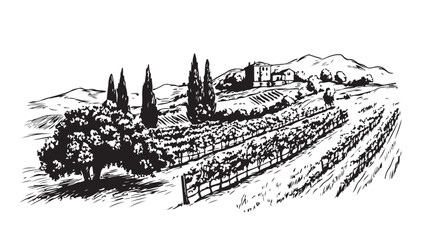 Vineyard landscape with mountains and building on the hill. 