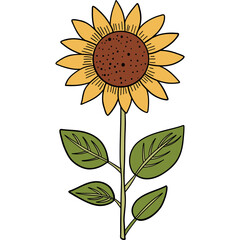 Farm theme, Bright sunflower illustration with vibrant petals and green leaves.