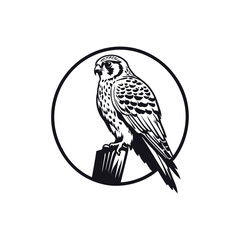 A black and white vector silhouette of a kestrel perched with sharp details and an alert posture on a white background