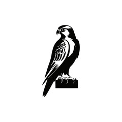 Fototapeta premium A black and white vector silhouette of a kestrel gliding through the sky with an elegant posture on a white background.