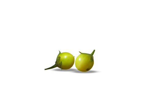 Mandragora officinarum or mandrake green fruits isolated on a white background