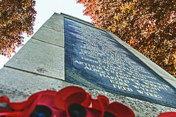 War Memorial Names with Red Poppies at Base